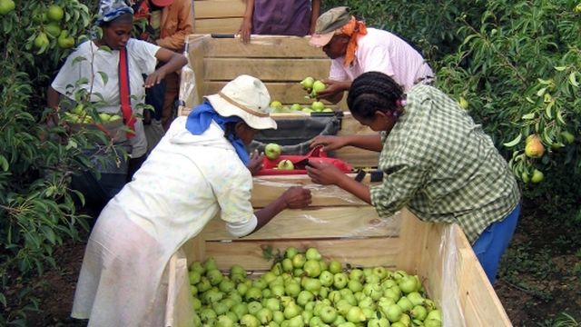 Afrique: L'agriculture intelligente face au climat pourrait déboucher sur un renouveau rural