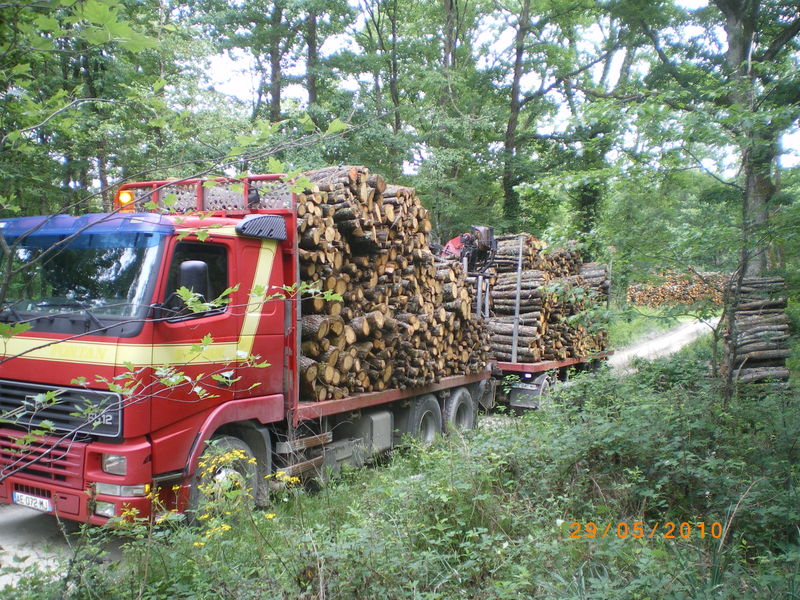 Les exploitants forestiers d'accord avec les consultations de leur tutelle