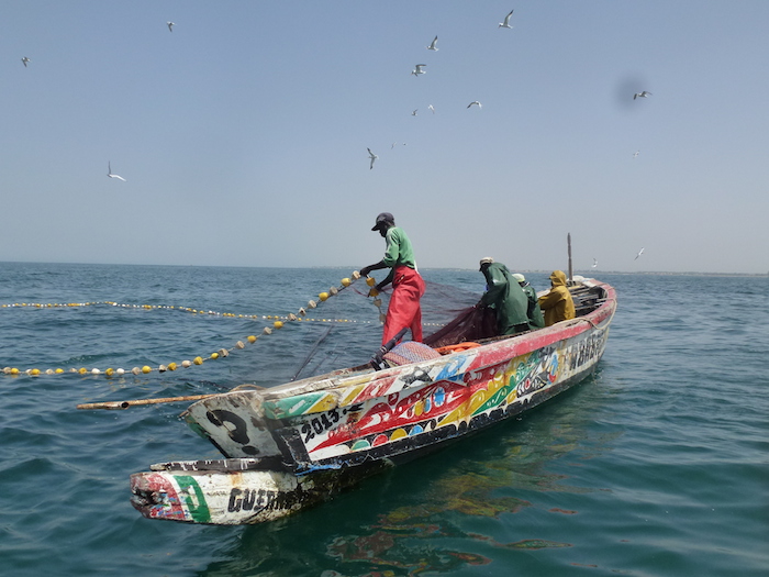 Afrique: La FAO adopte des directives pour soutenir la pêche artisanale