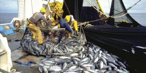 Sénégal : L’activité de pêche s’est confortée de 7,5% au deuxième trimestre de 2022,