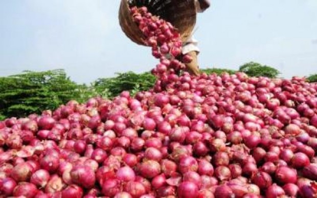 HORICULTURE : Macky Sall vise l’autosuffisance en oignon en 2016