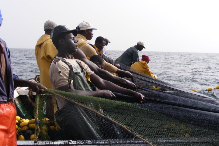 Sénégal : Bonne tenue du secteur primaire en septembre 2022