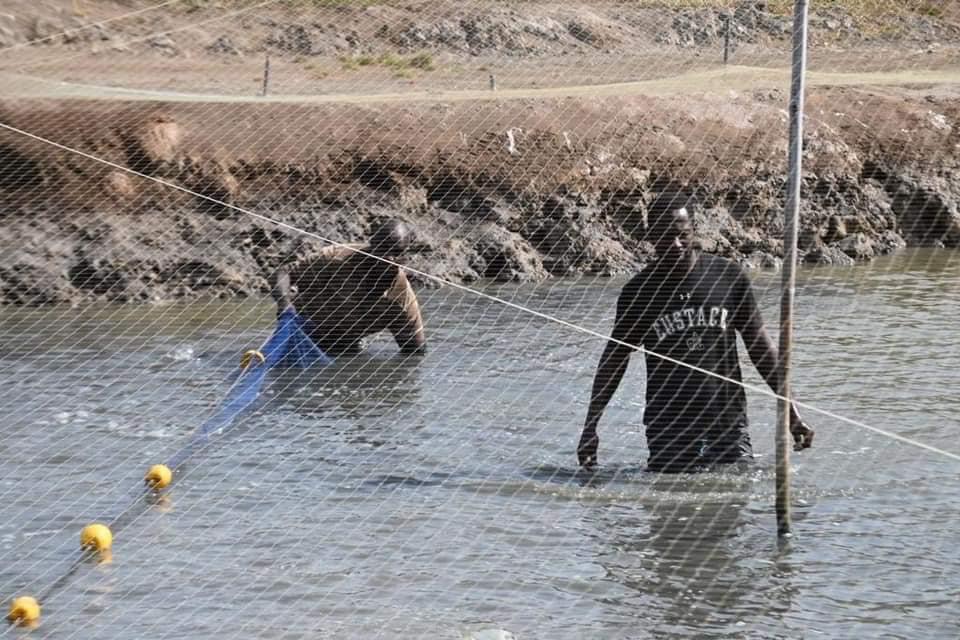 Montée en puissance du sous-secteur de l’aquaculture : Macky Sall fait trois recommandations au ministre des Pêches