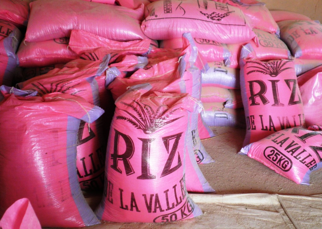 Riz de la vallée : le prix au producteur fixé à 120 francs