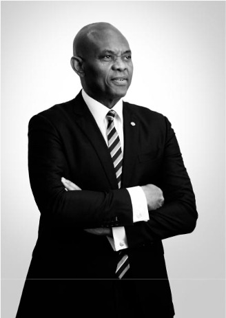 Tony Elumelu, Président de la United Bank for Africa