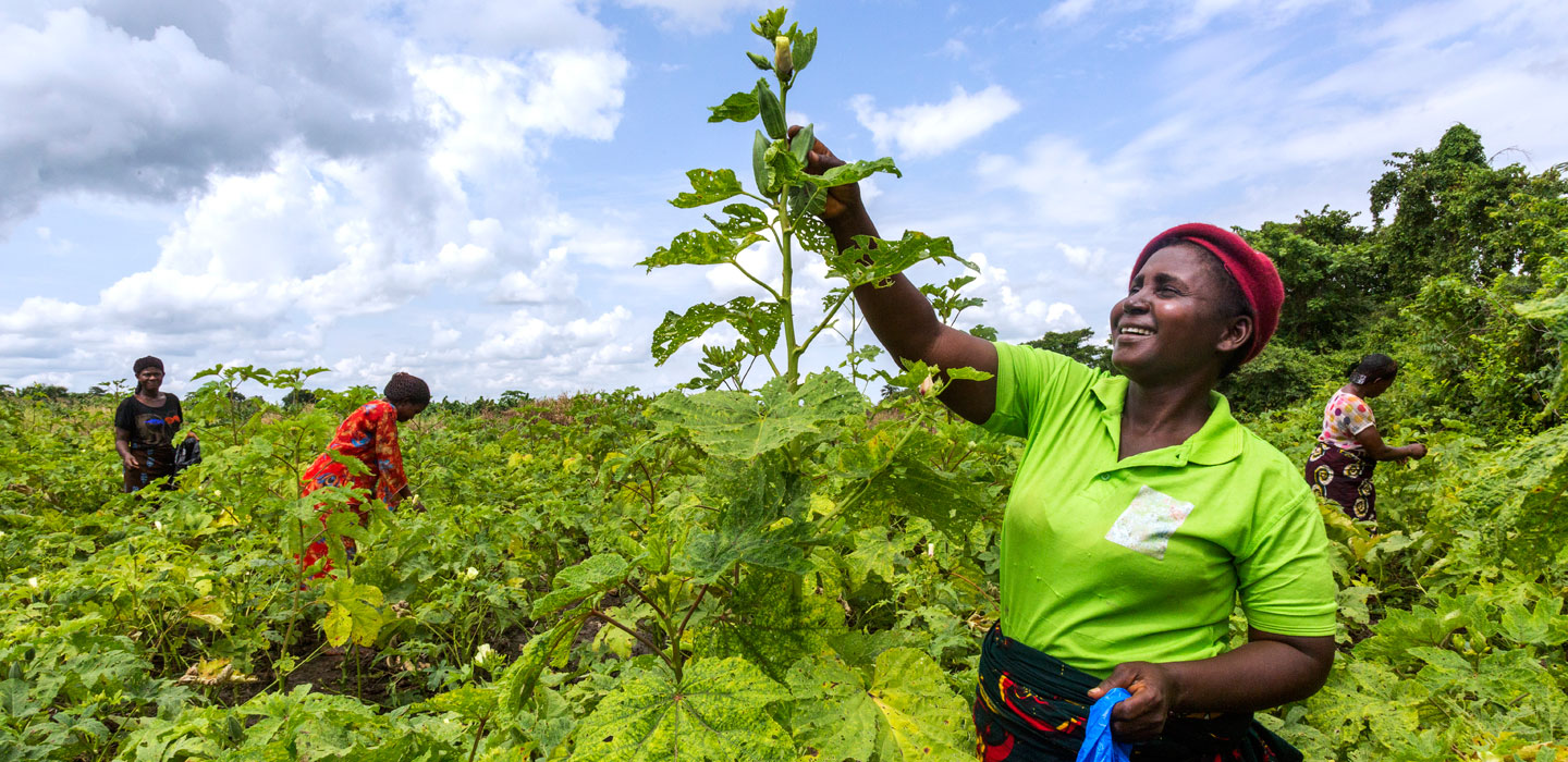 Autonomisation économique et développement durable en Afrique : Des experts plaident l’intégration des droits fonciers des femmes dans la Zlecaf