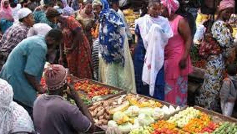 Sénégal : Hausse de l’activité du secteur primaire en décembre 2023