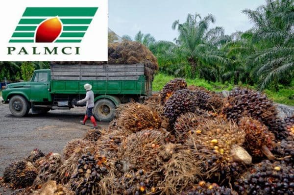 Retour sur investissements : Les actionnaires de la société Palm Côte d’Ivoire percevront plus de 8 milliards FCFA de dividendes le 26 juillet 2024.