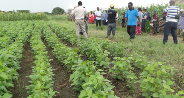 Sénégal : Baisse de l’activité économique au mois de juin