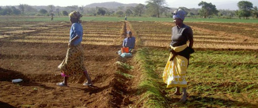 Afrique : Le président du Fida appelle à des investissements en faveur des petits producteurs agricoles