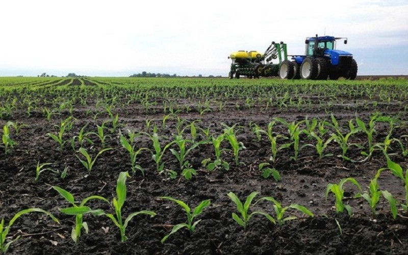 Digitalisation de la distribution des subventions agricoles : Le ministère de l’Agriculture et la Société financière internationale unissent leurs forces