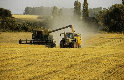 Investissements agro-industriels : La BAD montre la voie aux pays africains