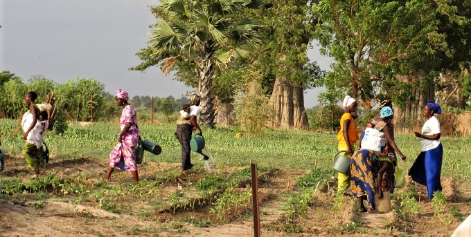 Promotion de l’entrepreneuriat des femmes et des jeunes : La Banque africaine de développement octroie plus de 74 millions d’euros au Sénégal