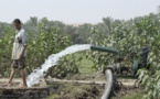 AGRICULTURE : Les ressources en eau sous-utilisées en Afrique