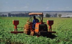 MISE EN ŒUVRE DE « NOURRIR AFRIQUE » :« La BAD est le partenaire stratégique qui accompagne tous les pays vers une meilleure croissance de leur secteur agricole. »