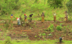 Autosuffisance alimentaire en Afrique :La science au cœur d’un agenda continental