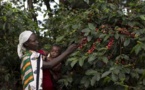 Femme, africaine et agricultrice, face au changement climatique : Oxfam tire la sonnette d'alarme