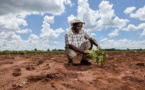 Adapter l’agriculture africaine au changement climatique