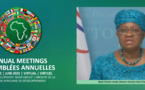 Assemblées annuelles de la Bad : Appel pour des réformes internes audacieuses, un soutien international efficient pour relancer les économies africaines