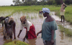 Colloque sur l’Agriculture et la Sécurité alimentaire : Les femmes s’investissent dans la sécurité alimentaire