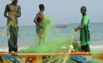 La participation de la pêche artisanale à la prise de décision, ‘’cruciale’’ pour la sécurité alimentaire des communautés côtières africaines (organisations)