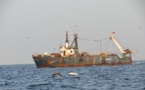 Alexander Biryoukov, de l’Agence fédérale russe pour la pêche basée à Dakar « La Russie a des accords bilatéraux avec plus ou moins tous les Etats de la façade Atlantique africaine »