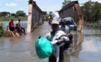 Afrique: Des opportunités à exploiter des Changements climatiques pour l'Afrique