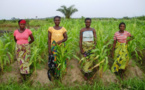 Cadre de Coopération de la NASAN : Un levier pour booster la production agricole