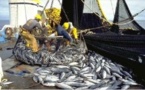 Afrique: FAO - nouveaux records pour le commerce mondial de poisson