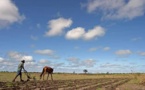 Agriculture : Accord de financement de 17,350 milliards FCFA du FIDA pour le développement des filières agricoles au Sénégal