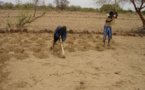 Dégradation des sols : près de 2/3 des terres arables touchées