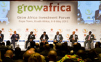 En 2013, le programme Grow Africa a généré 7,2 milliards de dollars de promesses d’investissements