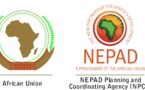 NEPAD : Atelier d’information et de  sensibilisation  autour des enjeux du prochain sommet de Dakar