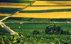 La sécurisation de l’occupation des terres est une condition nécessaire  à l’accroissement des productions agricoles.