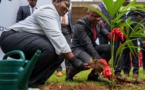 Protection de l’environnement, révolution verte : La fondation Uba lance une campagne de plantation d’arbres