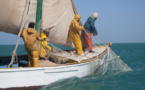 Mauritanie : la Banque mondiale accompagne la nouvelle stratégie de pêche à hauteur de 20 millions $