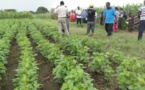 Sénégal : Baisse de l’activité économique au mois de juin