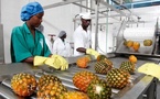 Sénégal : La production industrielle baisse de 1,1% en glissement annuel