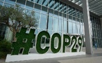 Action climatique en Afrique  : A la Cop29 à Bakou, la Bad pour la mobilisation de ressources supplémentaires