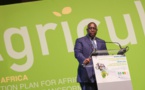 Conférence sur l’agriculture : L’agriculture est l’épine dorsale de l’Afrique selon Macky Sall