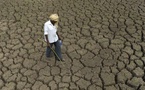 Lutte contre le changement climatique : A Bakou, la stratégie décennale de la Bad saluée comme instrument essentiel