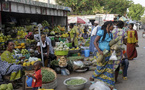 Burkina Faso : Les prix à la consommation baissent de 0,2% au mois de décembre 2024.