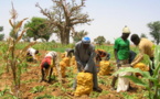 Agriculture : La terre, clé du développement de l'Afrique