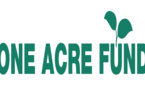 AGRICULTURE : One Acre Fund arme les exploitants agricoles au Malawi et en Ouganda