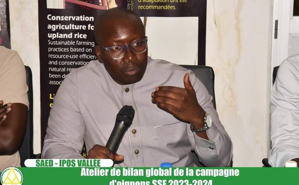 SENEGAL - Approvisionnement correct du marché de l’oignon : Le directeur de l’Arm souligne l’importance de stratégies de stockages et de conservation