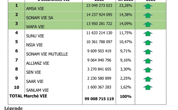 AMSA Vie, SONAM Vie et WAFA vie, les trois leaders du marché de l’assurance Vie au Sénégal en 2023