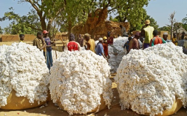 Sénégal : Bonne tenue de l’activité du secteur secondaire au mois de novembre 2024