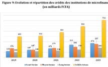 Sénégal : Une tendance à la hausse de l’activité de crédit atténuée par la faible contribution du secteur de la microfinance dans le financement de l’économie